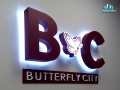 Butterfly city