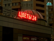 Цветы 24